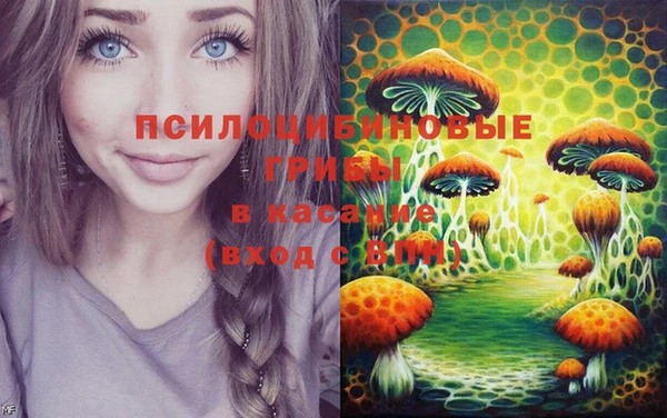 мет Новозыбков