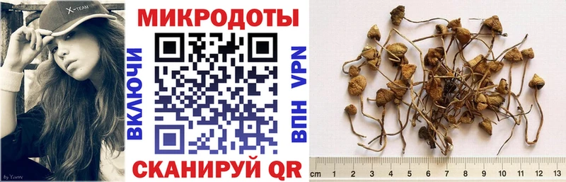 Псилоцибиновые грибы GOLDEN TEACHER  Сунжа 